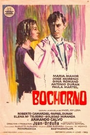Poster Bochorno