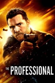 The Professional (2017)