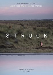 Poster Struck 2017