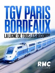 TGV Paris/Bordeaux, la ligne de tous les records