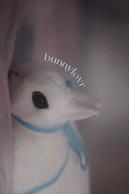 Bunnylovr постер