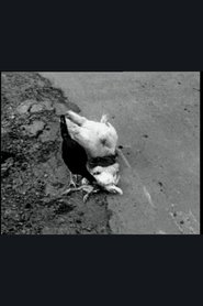 Poster The Delmarva Chicken of Tomorrow 2002