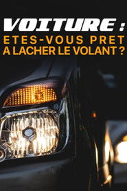 Voiture : êtes-vous prêts à lâcher le volant ?