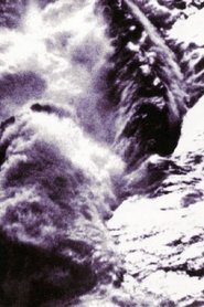 Poster Looking at the Sea 2001