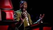 Blind Auditions 4