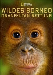 Poster Wildes Borneo: Orang-Utan Rettung