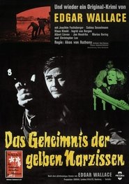 Poster Das Geheimnis der gelben Narzissen