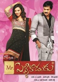 Poster Mr.PelliKoduku 2013