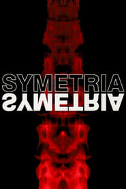 Poster Symmetry 2003