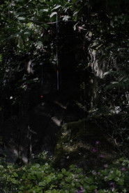 The Toby Tatum Guide to Grottoes & Groves