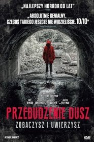 Przebudzenie dusz