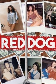 Poster Red Dog