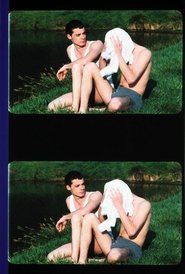 Poster Le démon du passage 1995