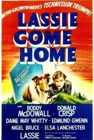 Lassie Come Home постер