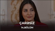 Episode 14