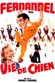 Poster Une vie de chien