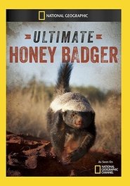 Poster Ultimate Honey Badger 2013