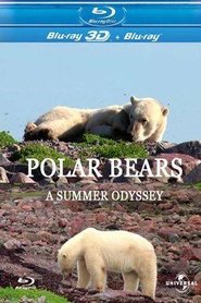 Polar Bears: A Summer Odyssey