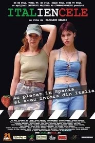 Poster Italiencele 2004