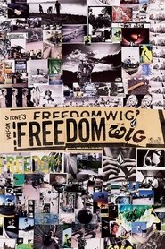 Poster Volcom Stone’s Freedom Wig 1997