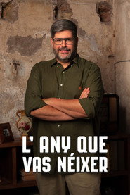 L'any que vas néixer постер