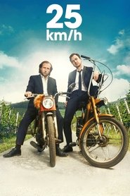 25 km/h (2018)