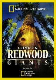 Poster Climbing Redwood Giants 2009