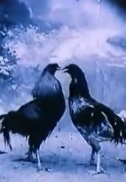 Poster Criminal Animals 1994