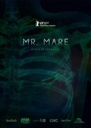 Poster Mr. Mare 2019