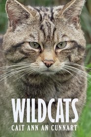 Wildcats: Cait ann an Cunnart (2025) Wildcats: Cait ann an Cunnart (2025)