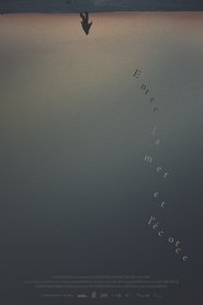 Poster Between the Sea and the Bark 2016
