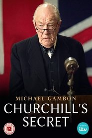 Churchill's Secret постер