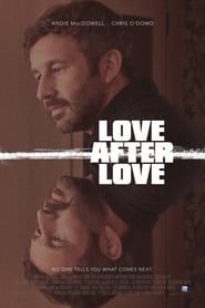 Love After Love постер