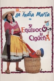 Poster Se equivocó la cigüeña