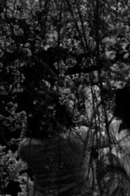 Beyond the Banks of the Potomac