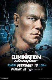 WWE Elimination Chamber 2017