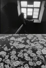 Poster Wanderers of White Time 1993