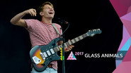Glass Animals