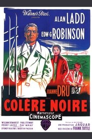 Colère noire streaming