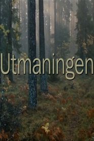 Utmaningen 1994