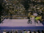 September 3, 1988 - Superstars of Wrestling 105