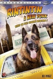 Rintintin à New-York