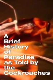 Poster A Brief History of Paradise as Told by the Cockroaches 2003