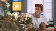 Episode 42