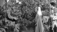 Woman's War