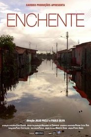 Poster Enchente 2011