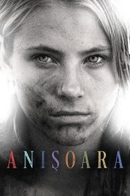 Poster Anishoara 2016