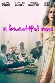 A Beautiful Now (2015) online ελληνικοί υπότιτλοι