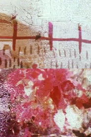 Poster The Last Lost Shot 1999