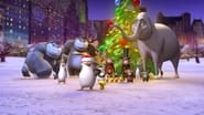 Les Pingouins de Madagascar - Vol. 4 : Préparatifs de Noël en streaming